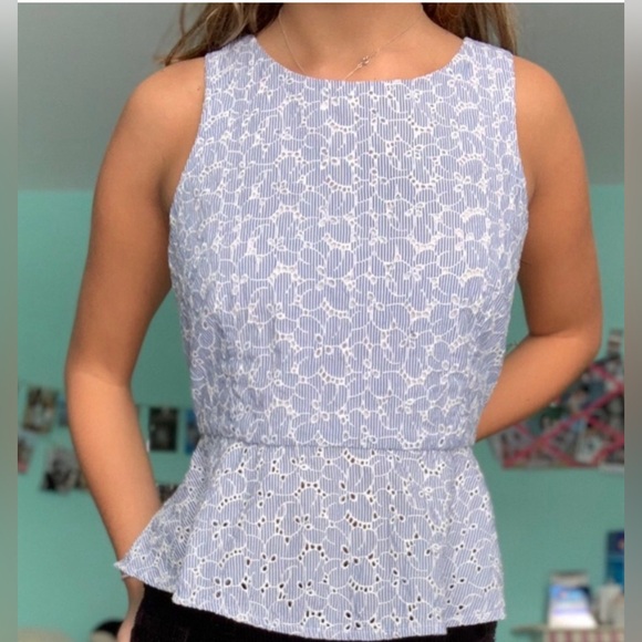 HD in Paris Anthropologie Striped Floral Peplum Eyelet Top - Picture 5 of 5